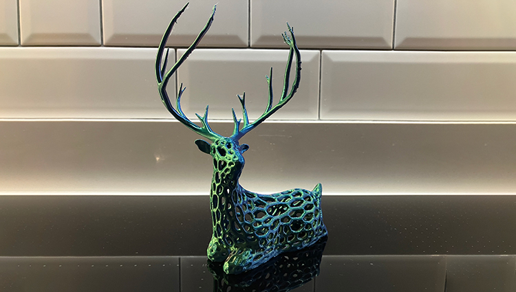 PHOENIX Fridays - Rainbow Reindeer