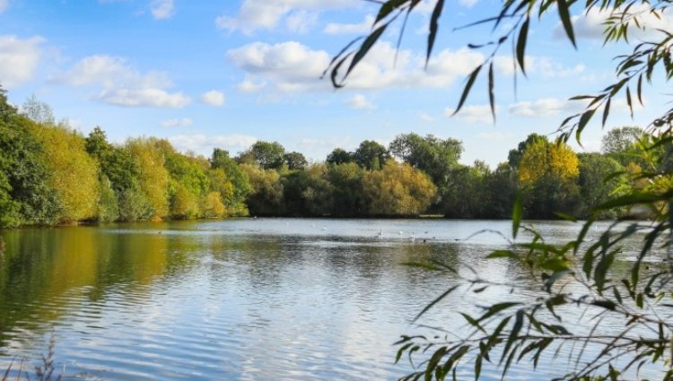 Hertfordshire - Summer Evening Challenge 5K & 10K